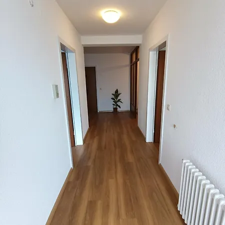Freddy * Lörrach